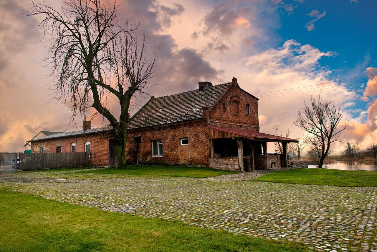 Palac W Debinie Krzeszkowice Bagian luar foto