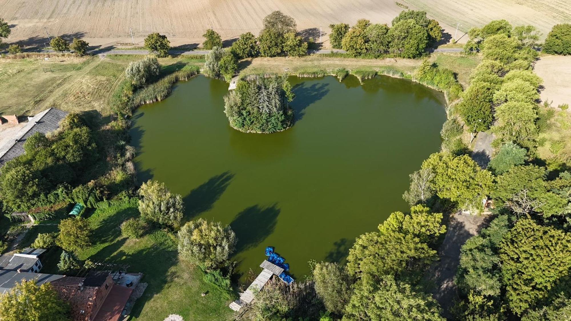 Palac W Debinie Krzeszkowice Bagian luar foto
